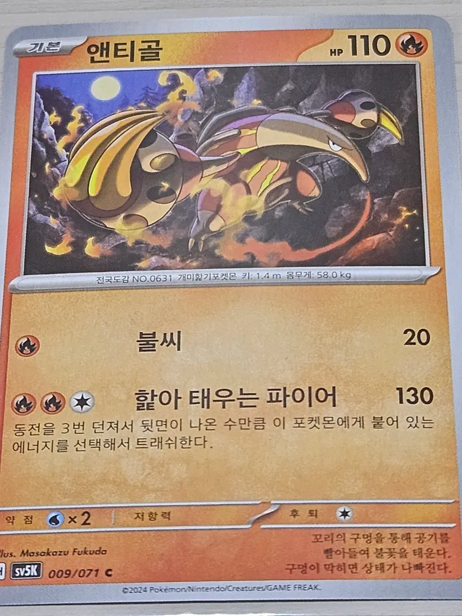 [최저가] 포켓몬 카드 앤티골