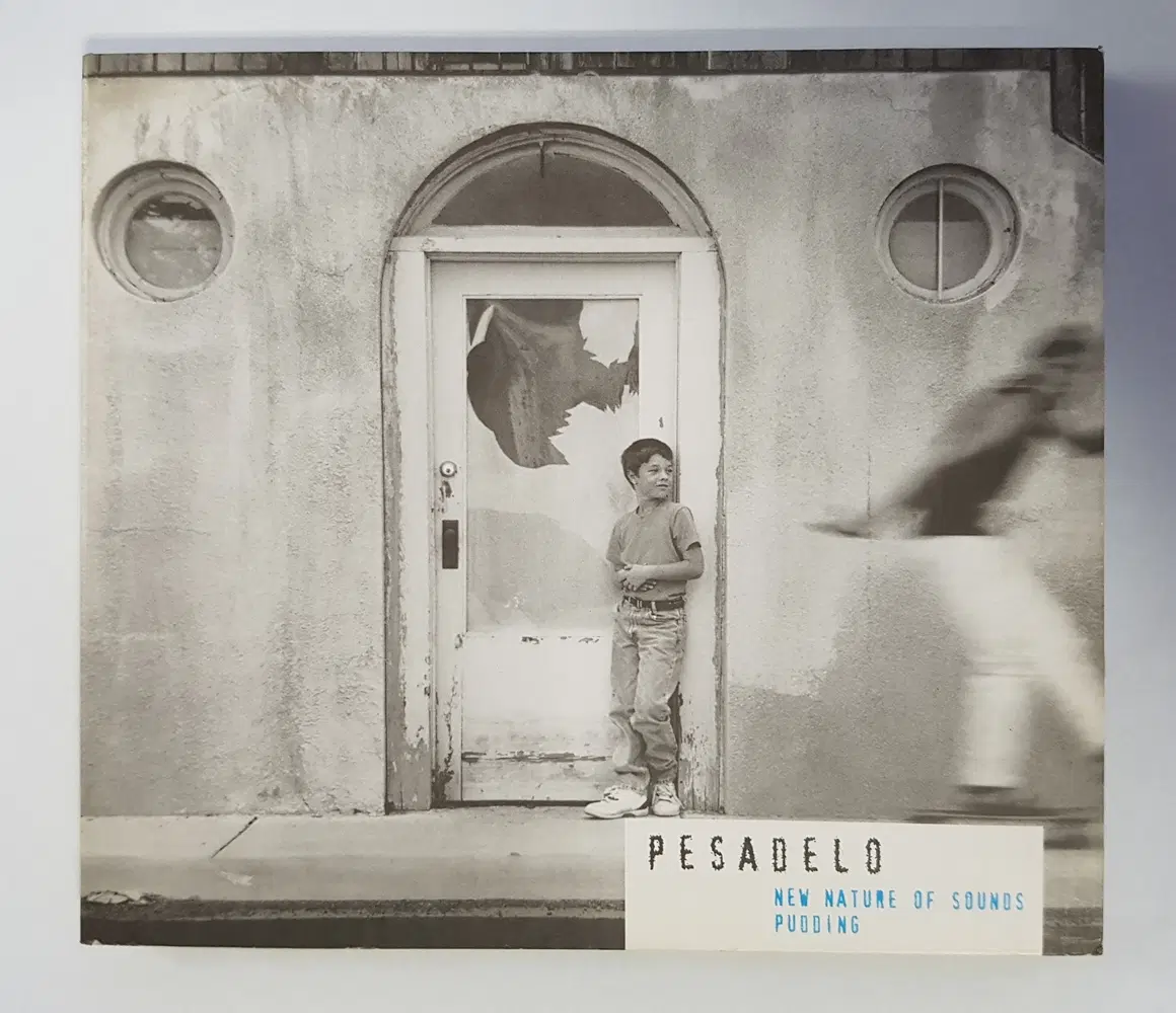 푸딩 (Pudding) 2집 - Pesadelo 씨디