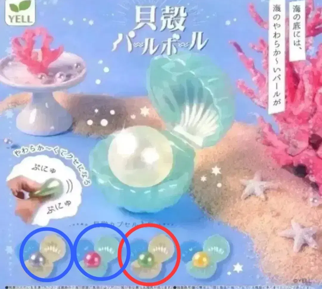 진주 말랑이 가챠 교환