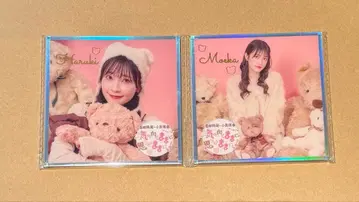 하루피노쿠마마마 아크릴 색지 이와타 히마리 코이즈미 모에카