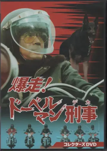 일본 국내 드라마 DVD 폭주! 도베르만 형사 컬렉터즈 DVD
