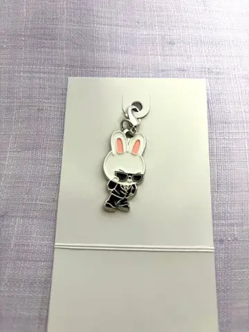 StrayKids RUN IT 키링 참 리빗