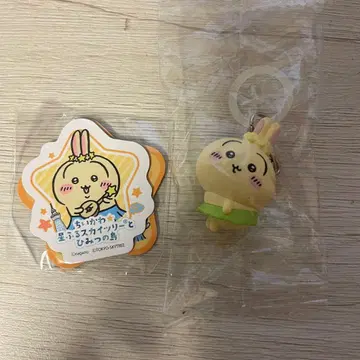 치이카와 영화 혜택 토끼