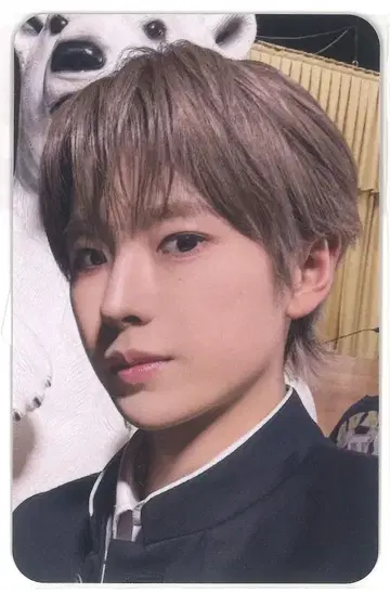 NCT WISH mu-mo SHOP YUSHI YO-I-DON!/BOY MEETS GIRL 전반기