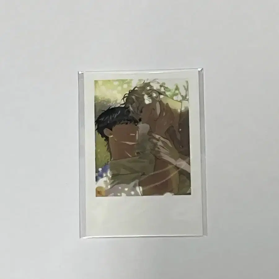 녹티아 패션 유우지 폴리즈 인형 폴라로이드