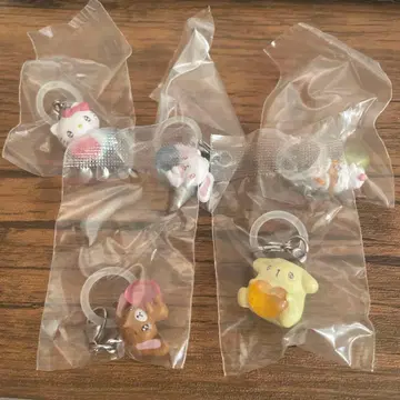 메지루시 액세서리 산리오 캐릭터즈 에모큥 2종 전 5개 세트