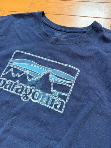 Patagonia 코튼 TEE XXL