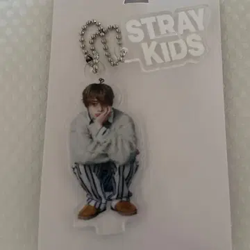 아이엔 스키즈 Stray Kids RUN IT 미니 아크릴 스탠드 참