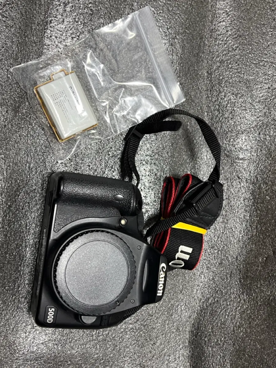캐논DSLR  eos 500