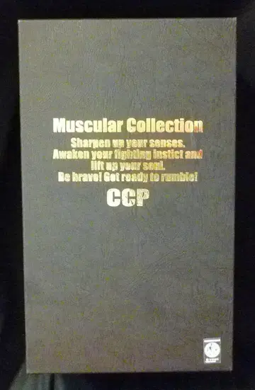 CCP 근육맨 MuscularCollection 정크맨 장인 사양 특별 컬러 노멀 바디 11