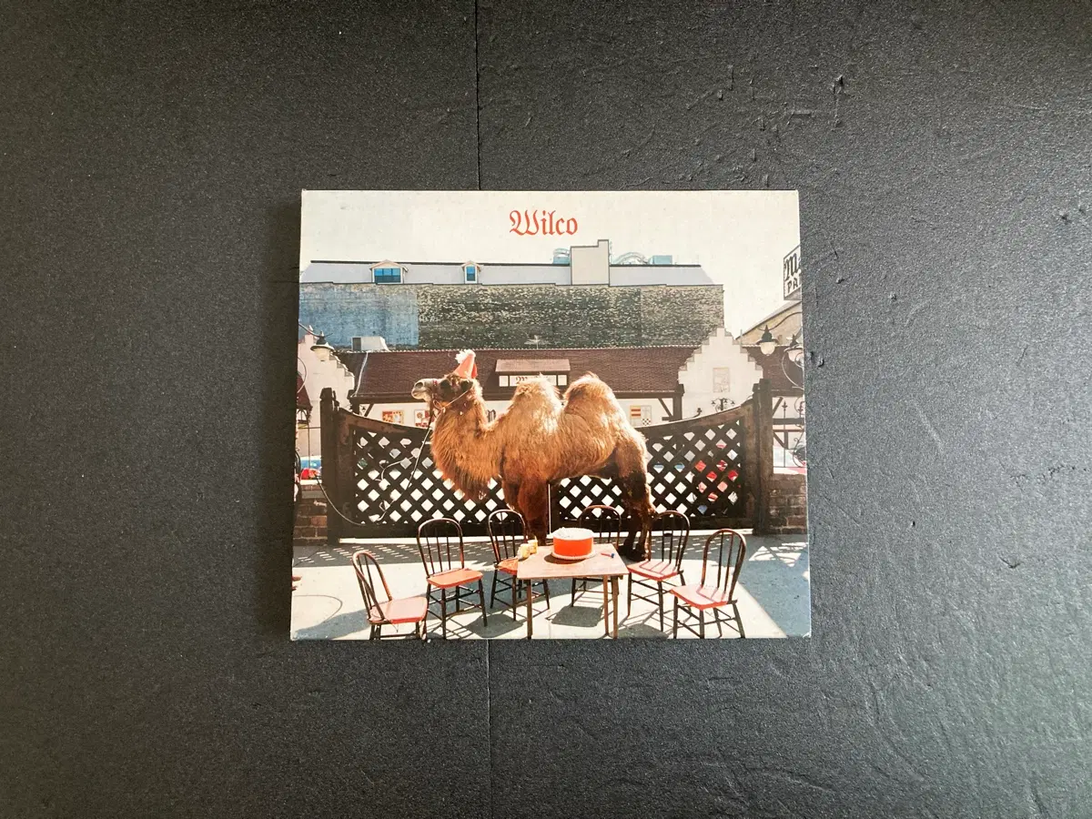 윌코-Wilco 09년 국내발매 CD