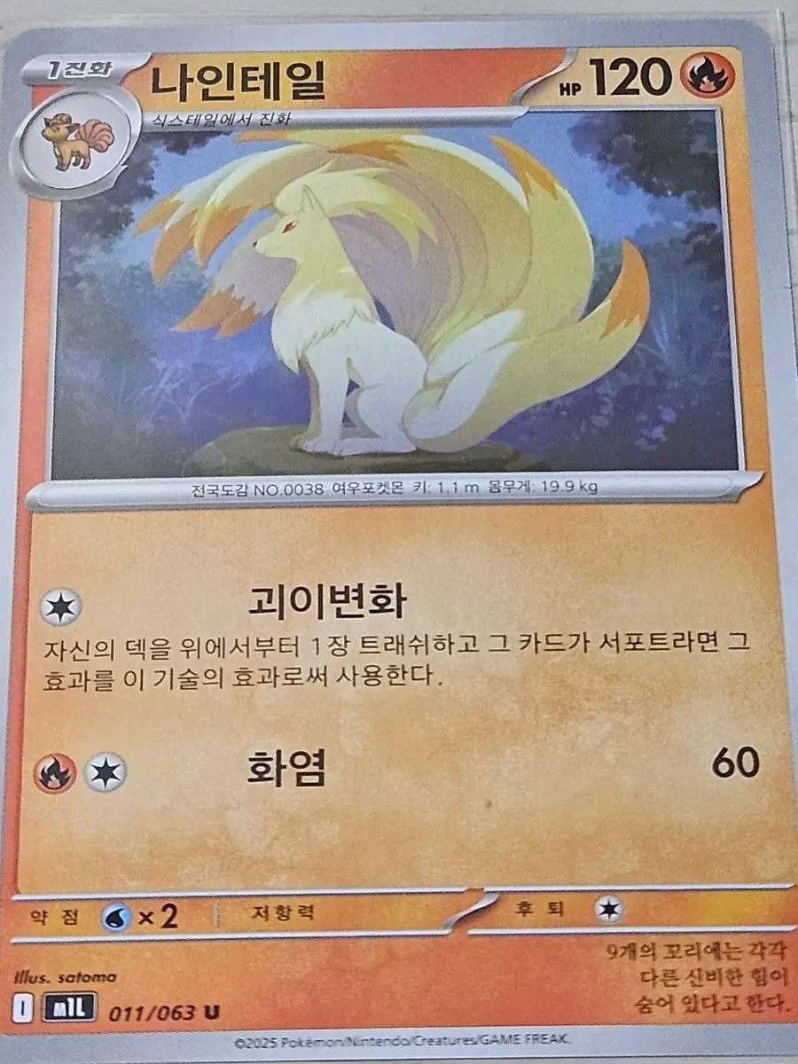 [최저가] 포켓몬 카드 나인테일