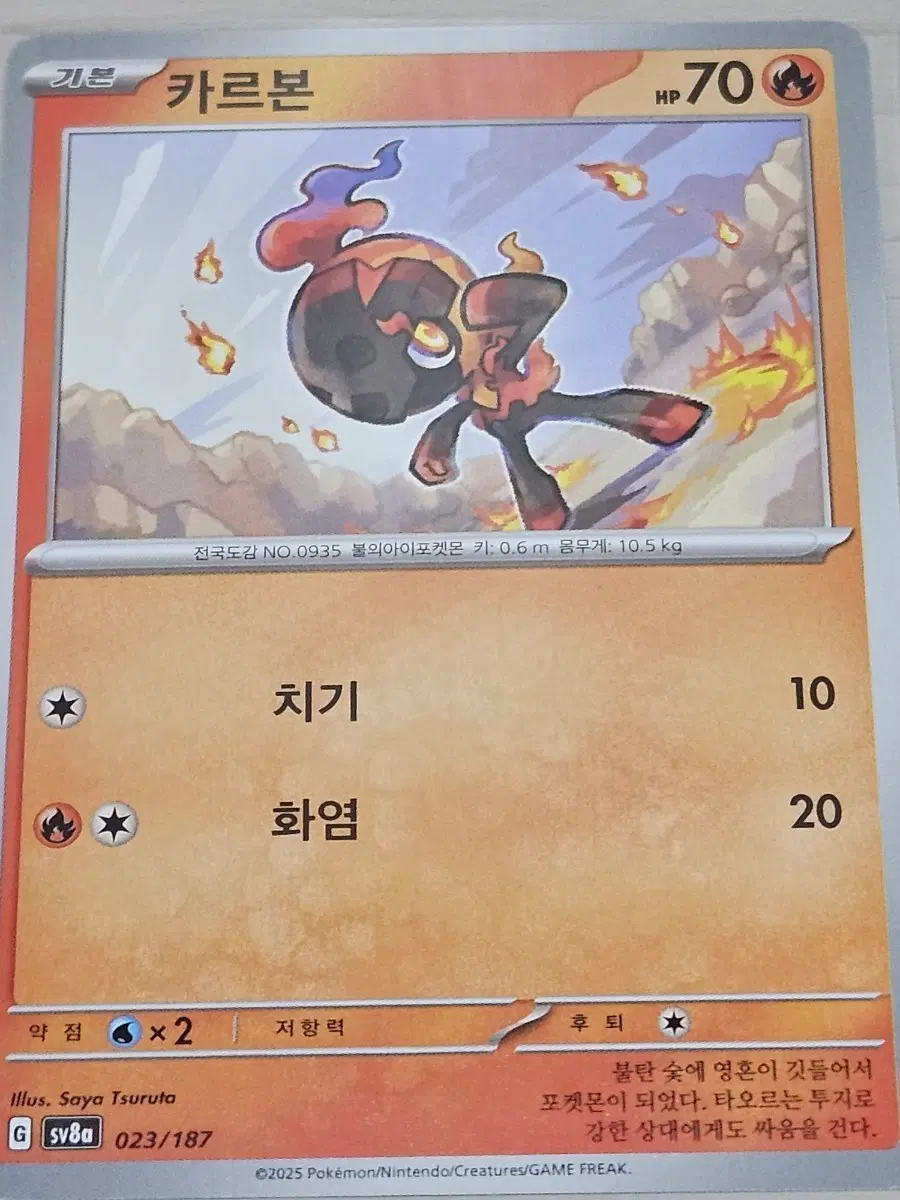포켓몬 카드 카르본