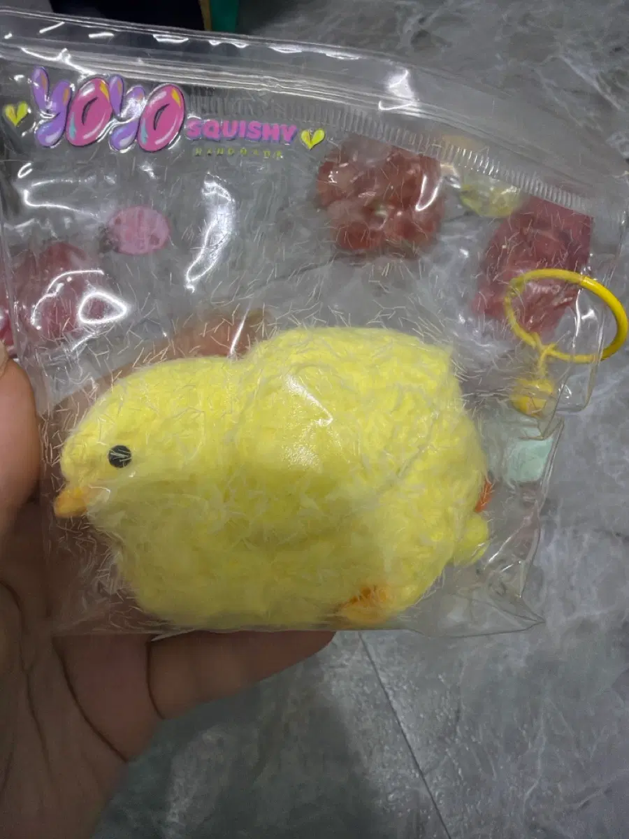 yoyo 스퀴시