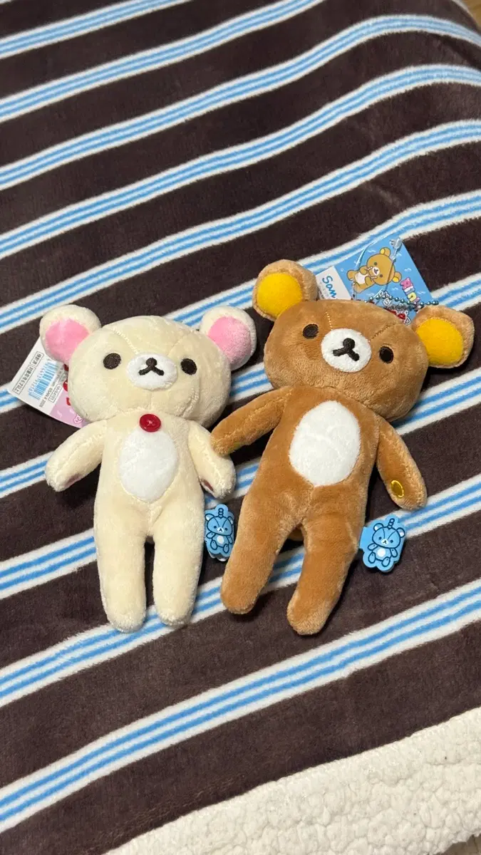 롱다리 코리락쿠마