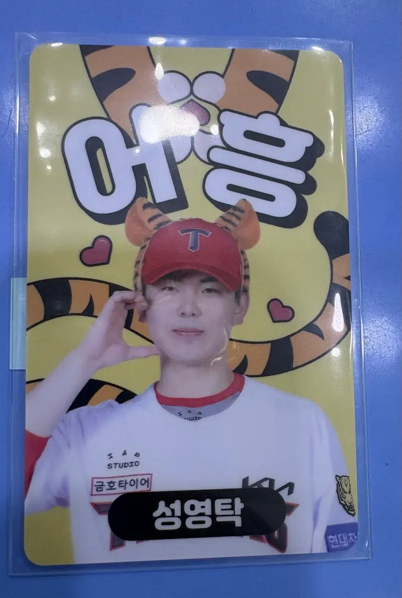 성영탁 포토카드 호랑이