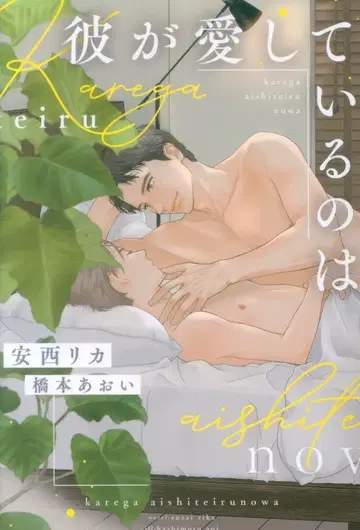 신칸샤 Dear+ 문고 안자이 리카 그가 사랑하는 것은