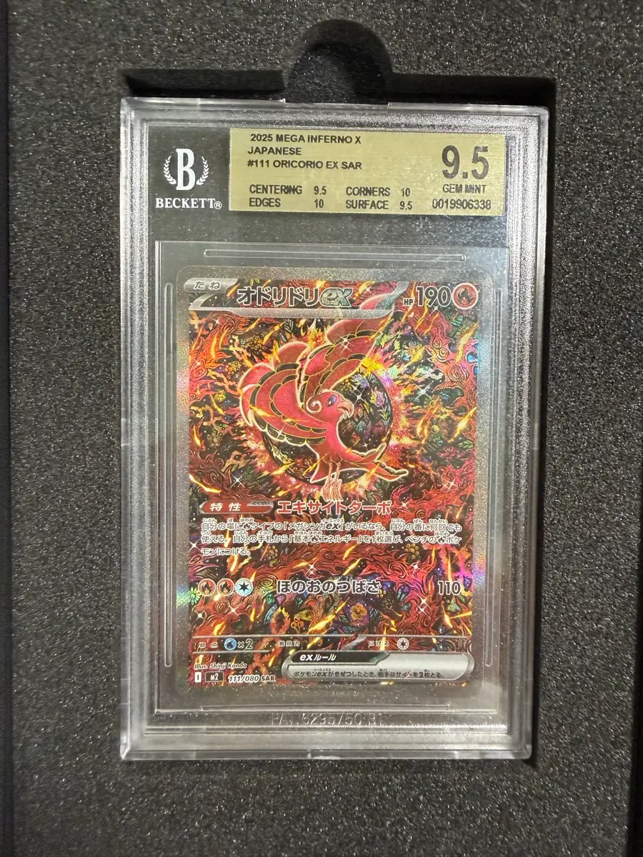 춤추새 sar 일판 bgs9.5 급초급처급처급처