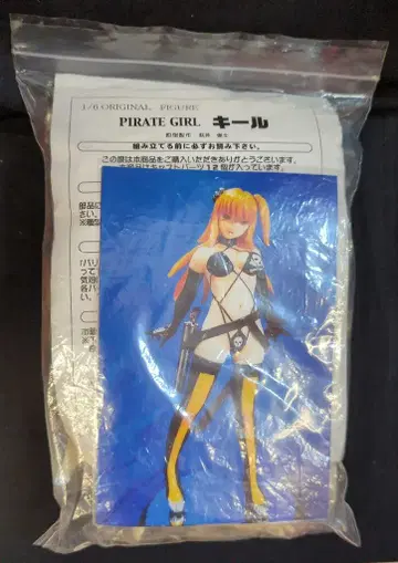 스튜디오 원숭이 분실 가설소 1/6 스케일 레진 캐스트 키트 PIRATE GIRL 키르