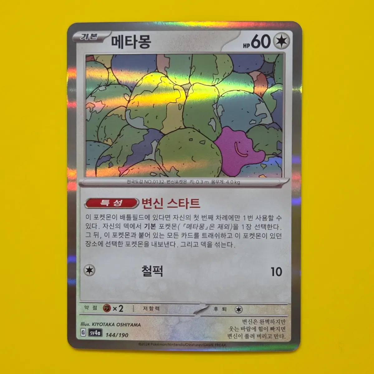 포켓몬카드 메타몽 홀로