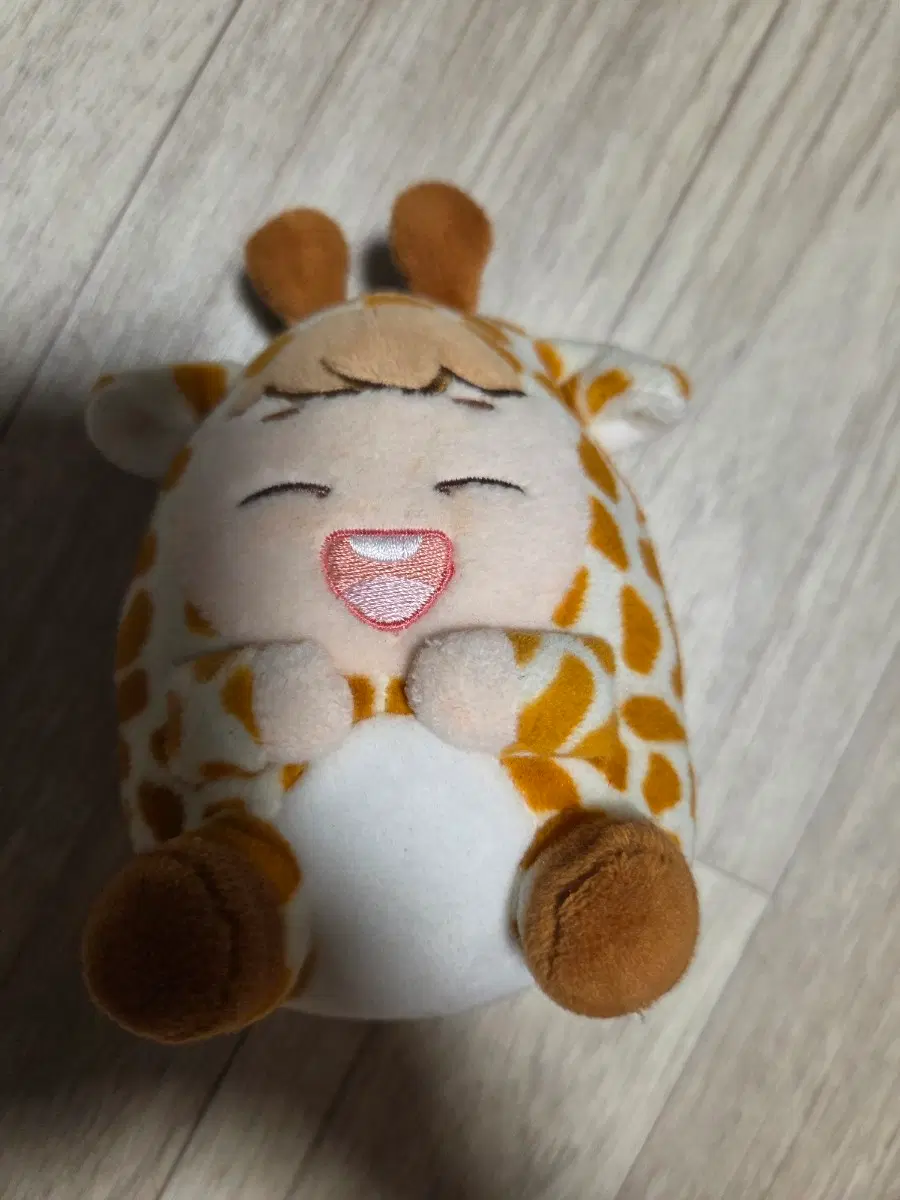 샤이니 온유 진기링인형 양도