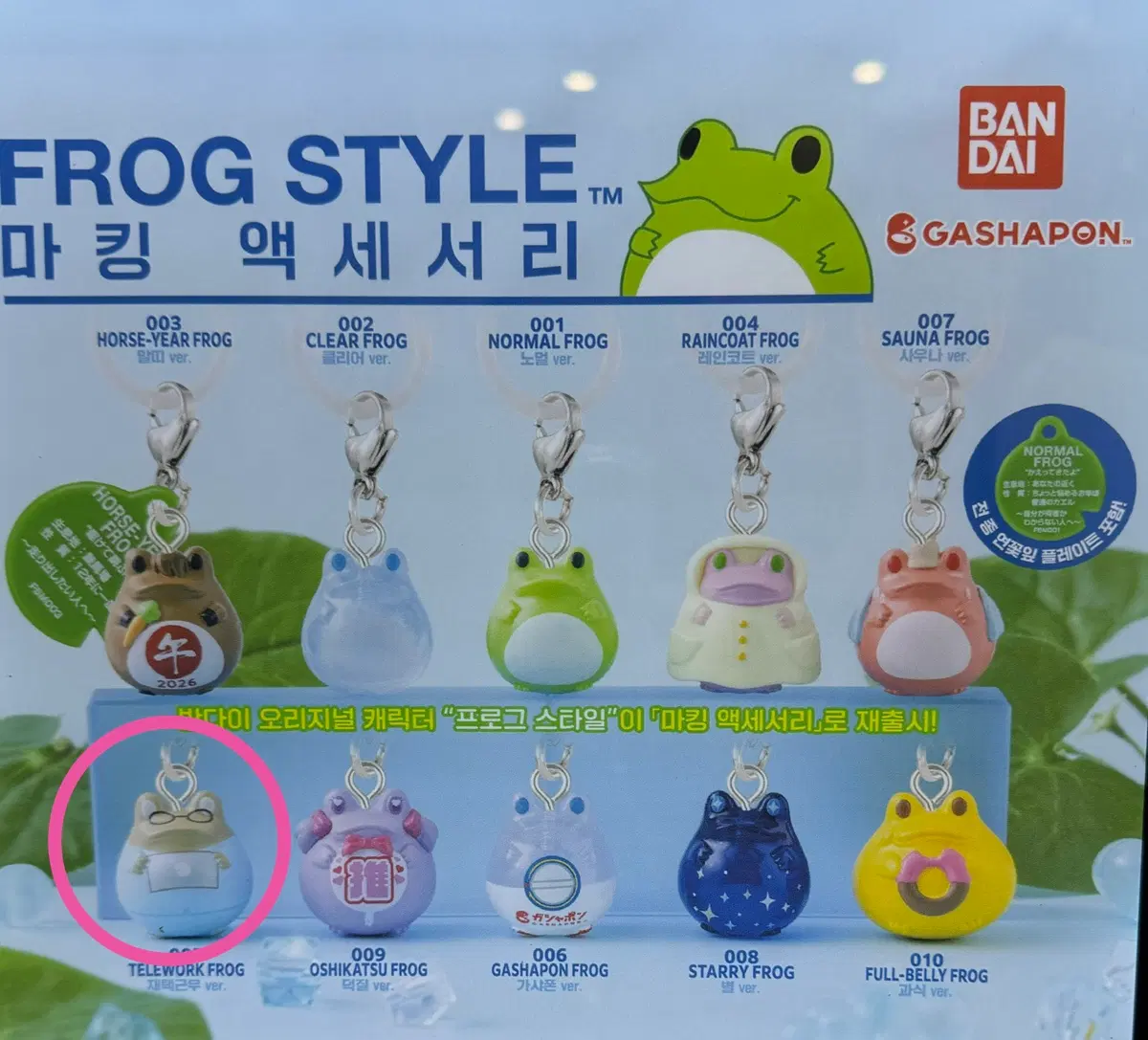 반다이 가챠폰 가샤폰 개구리 프로그 스타일 메지루시 가챠 재택근무