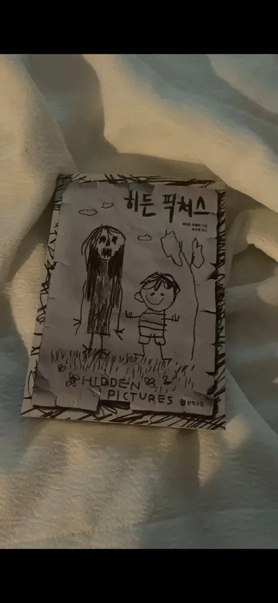 히든 픽처스 책