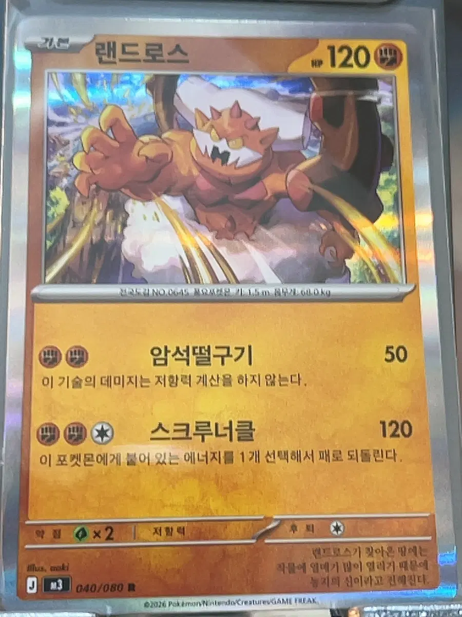 랜드로스 R 040/080 미러 홀로그램 포켓몬 카드