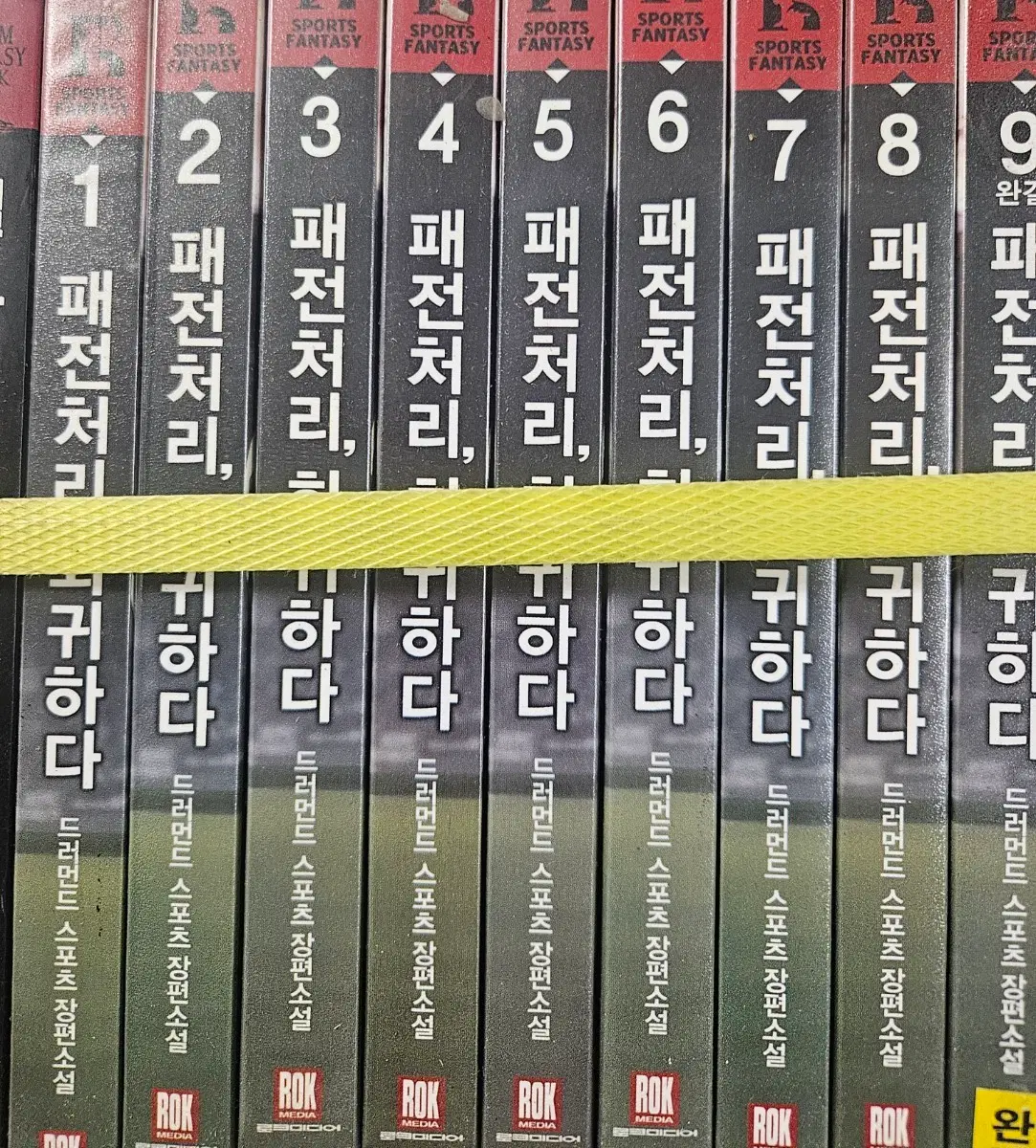 패전처리회귀하다1-9완