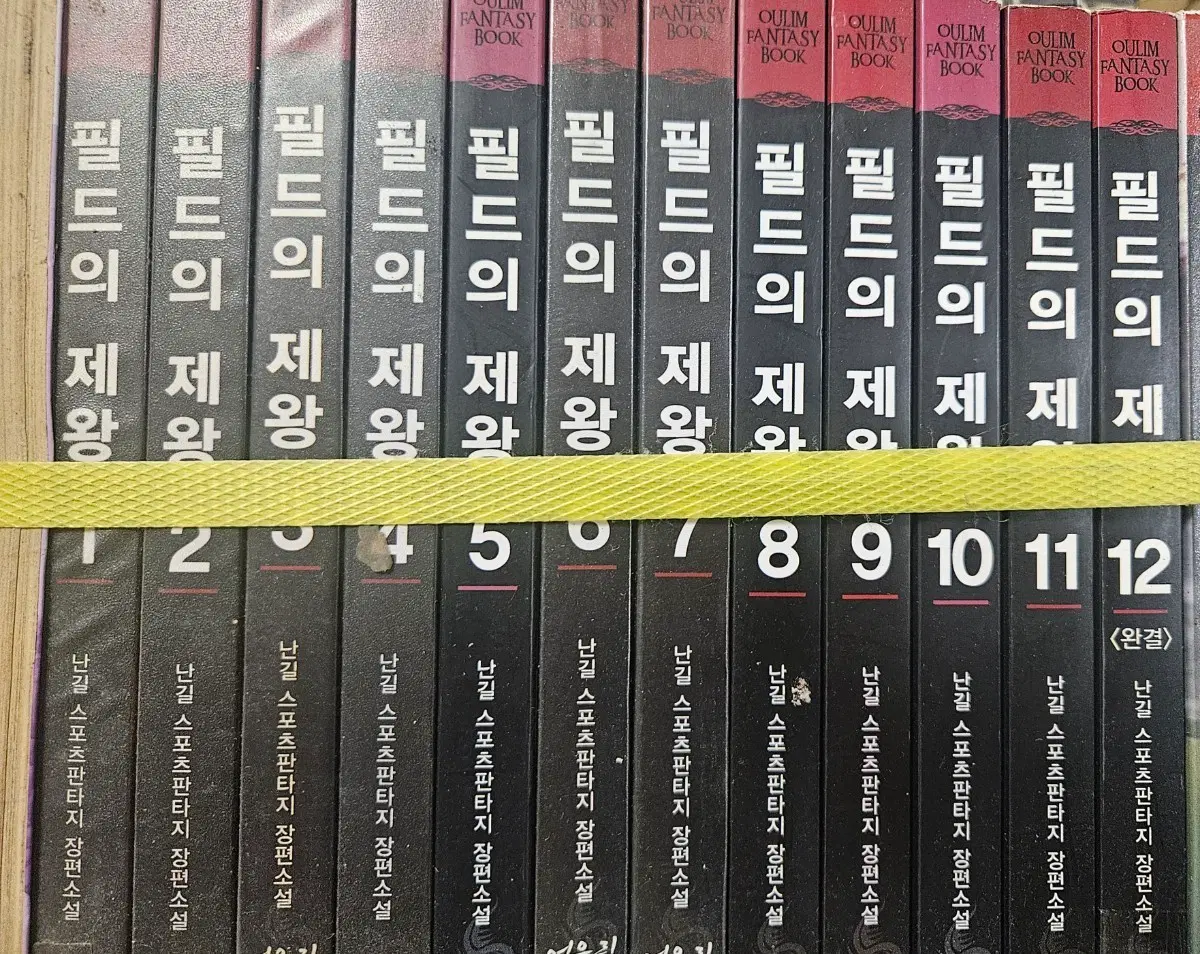 필드의제왕1-12완
