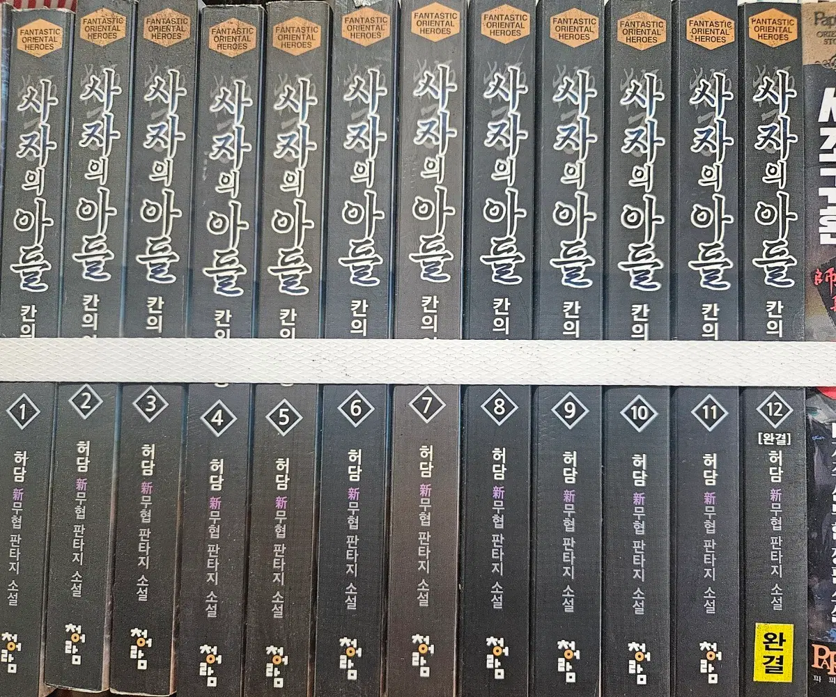 사자의아들1-12완