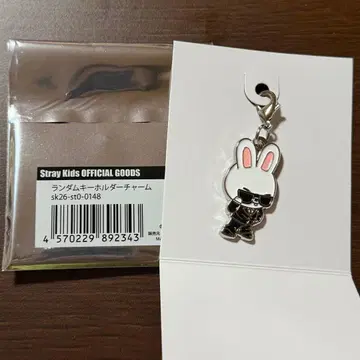 스키즈 랜덤 키링 참 리비트