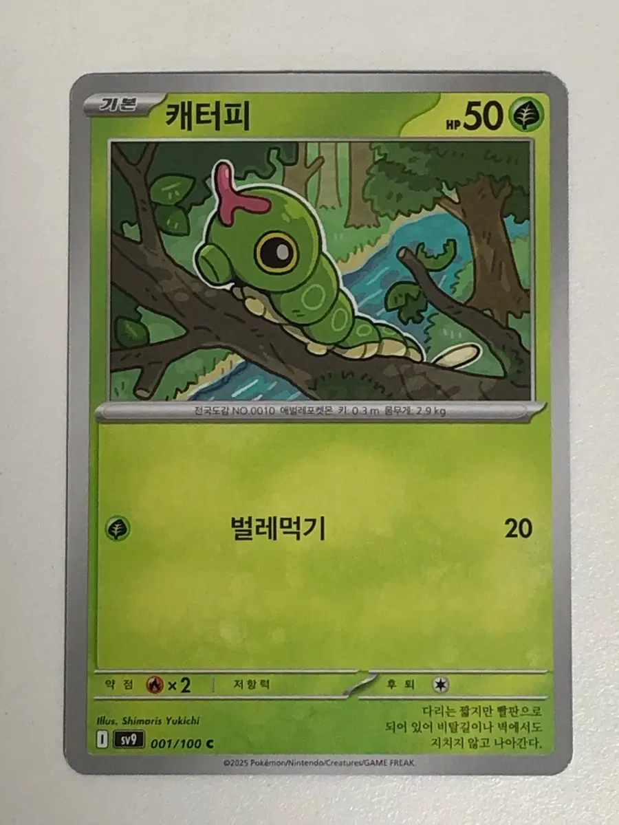 포켓몬카드 캐터피