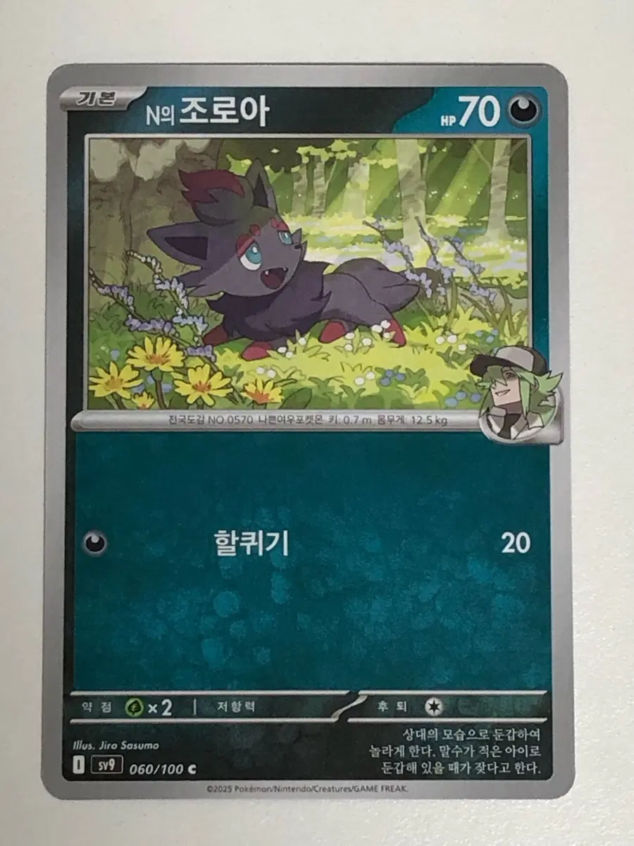 포켓몬카드 N의 조로아