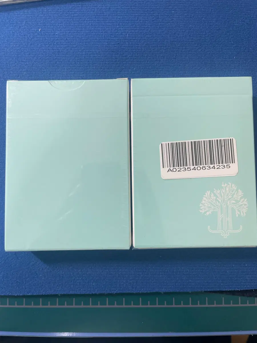 필트레 포토 에디션