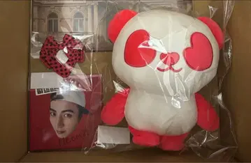 LIL LEAGUE 나카무라 류타 팬더 봉제 인형 CD
