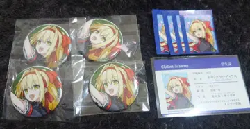 FGO 페스티벌 네로 세트