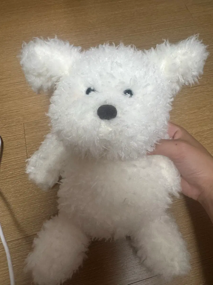 루시아이 곰돌이 인형