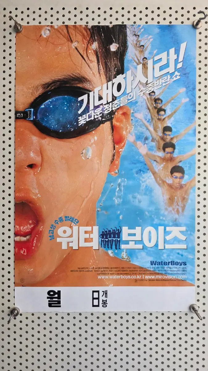 일본 영화 워터 보이즈 영화 포스터 극장용