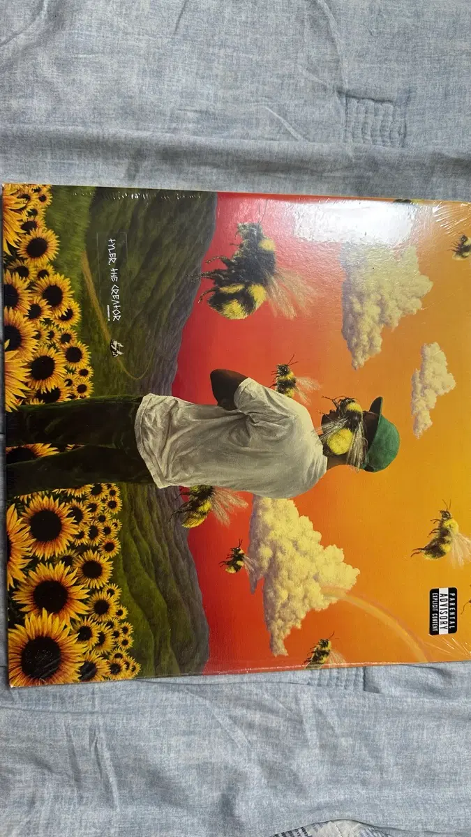 타일러 더 크리에이터 flower boy lp 미개봉
