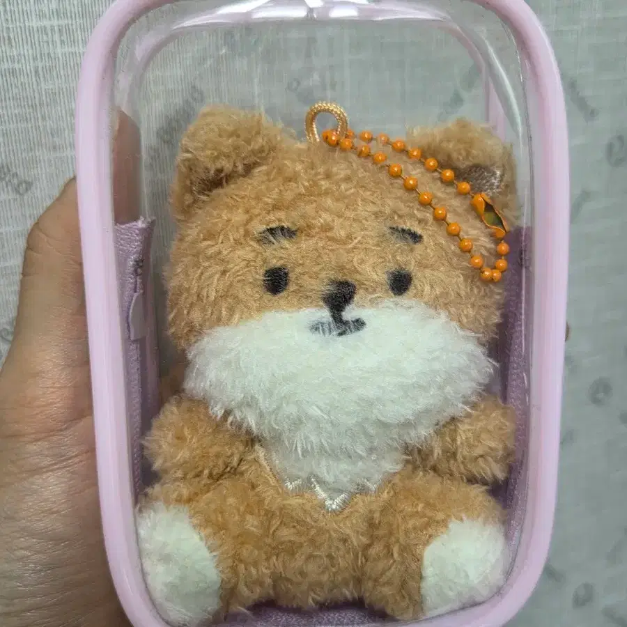 데이식스 쁘띠멀즈 케 인형