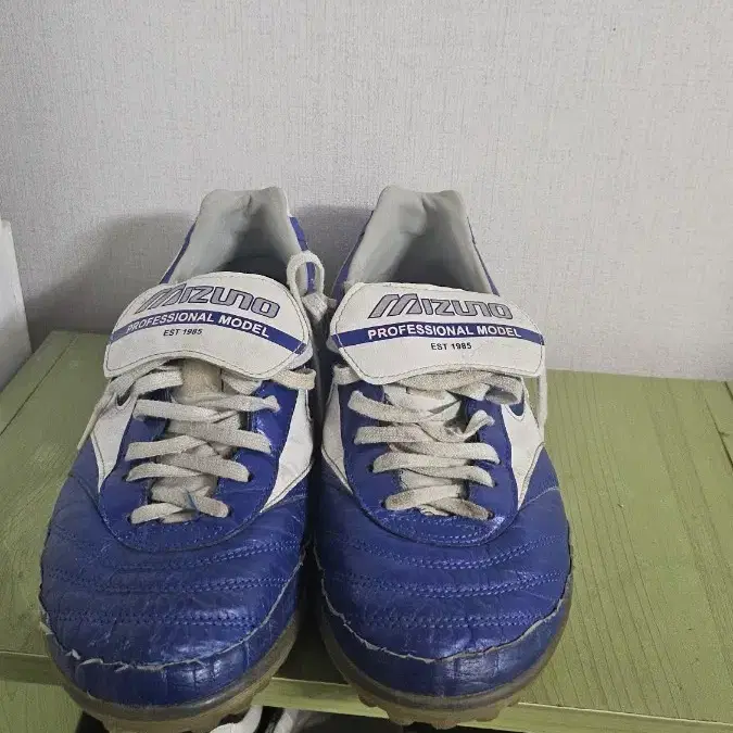 모렐리아 270 구하기 힘든 매물입니다.