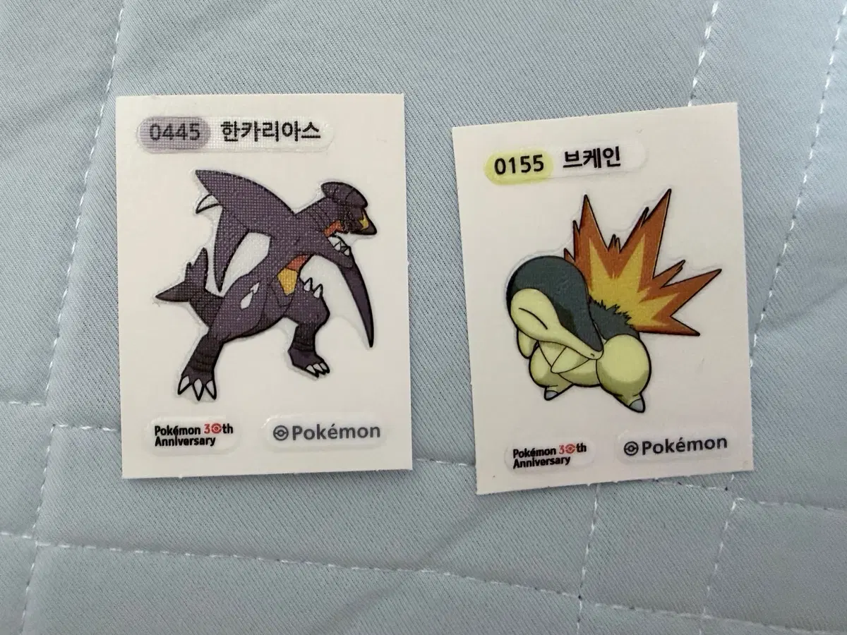 포켓몬스터 30주년 띠부씰