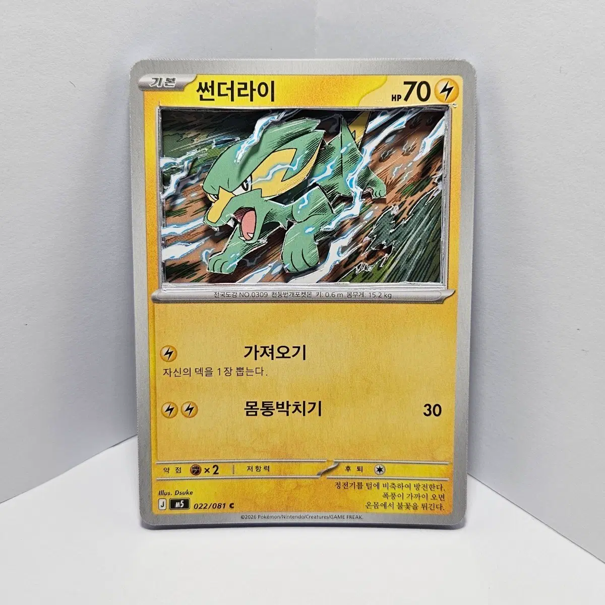 포켓몬카드 썬더라이 섀도우박스