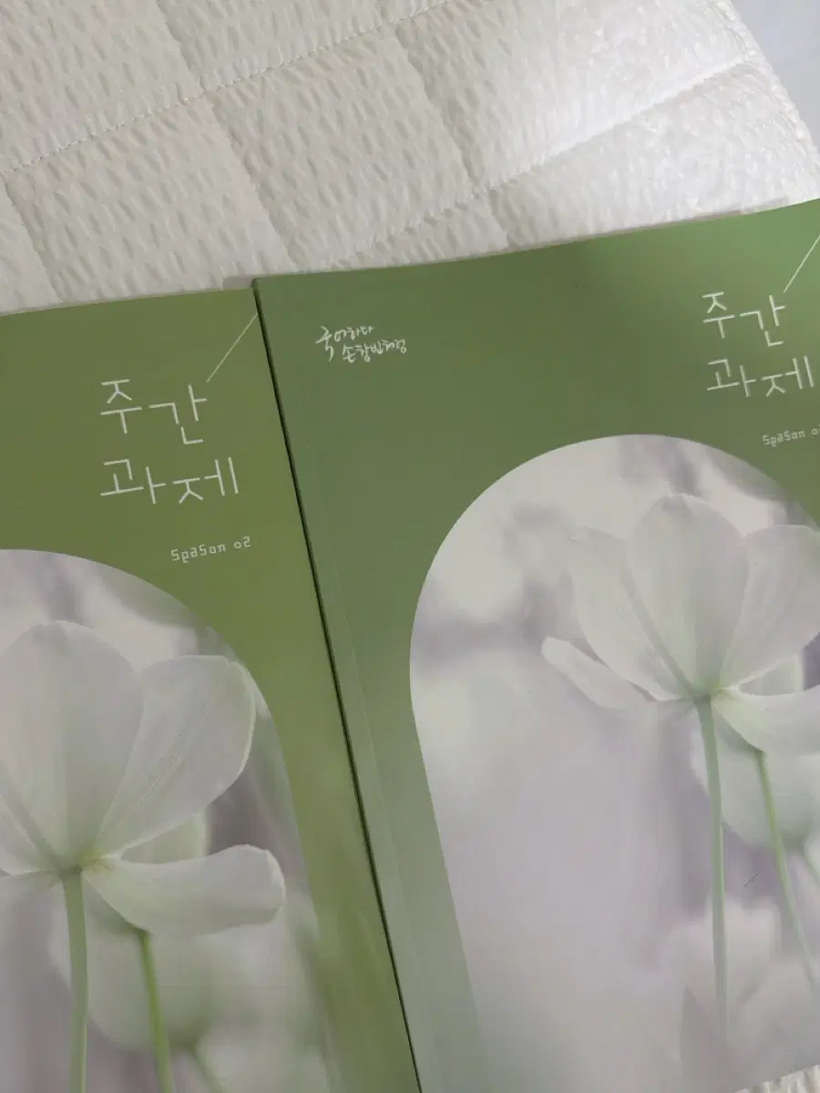 손창빈T 주간과제(주간지)