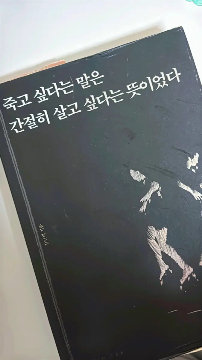 중고 책들 (너의 췌장을 먹고 싶어, 죽고싶다는 말은 간절히 살고 싶다는 뜻이였다)