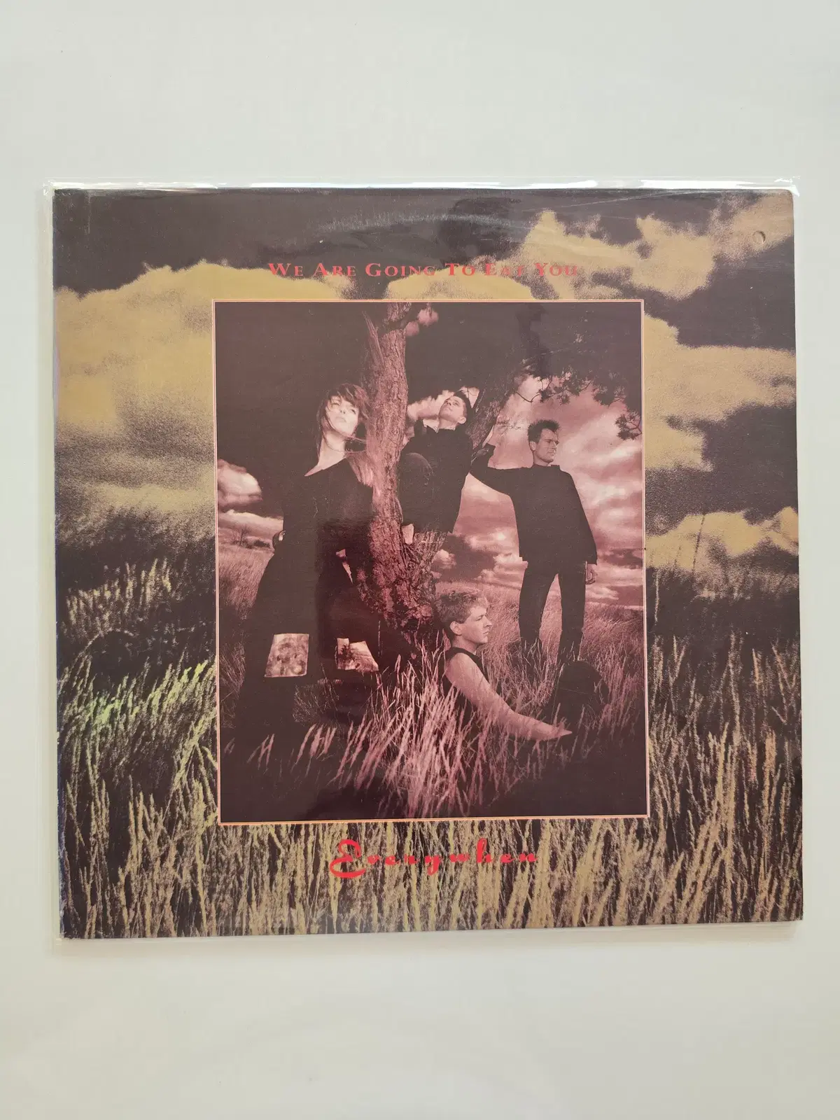We Are Going To Eat You LP /위 아 고잉 투 이트 유 - Everywhen/ 가사집 있음/ MINT