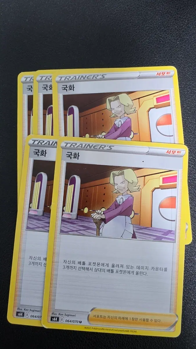 포켓몬 카드 국화 트레이너