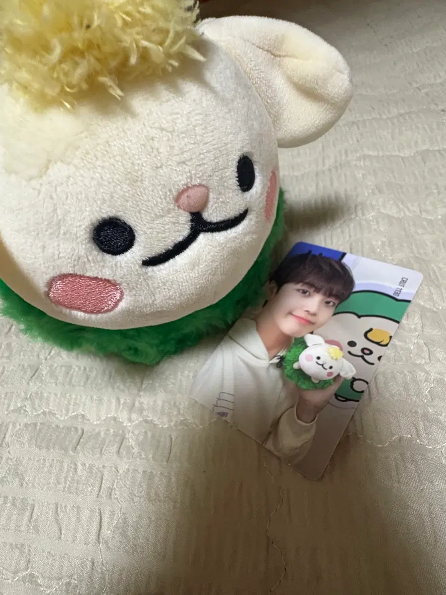 크크루 터리 판매