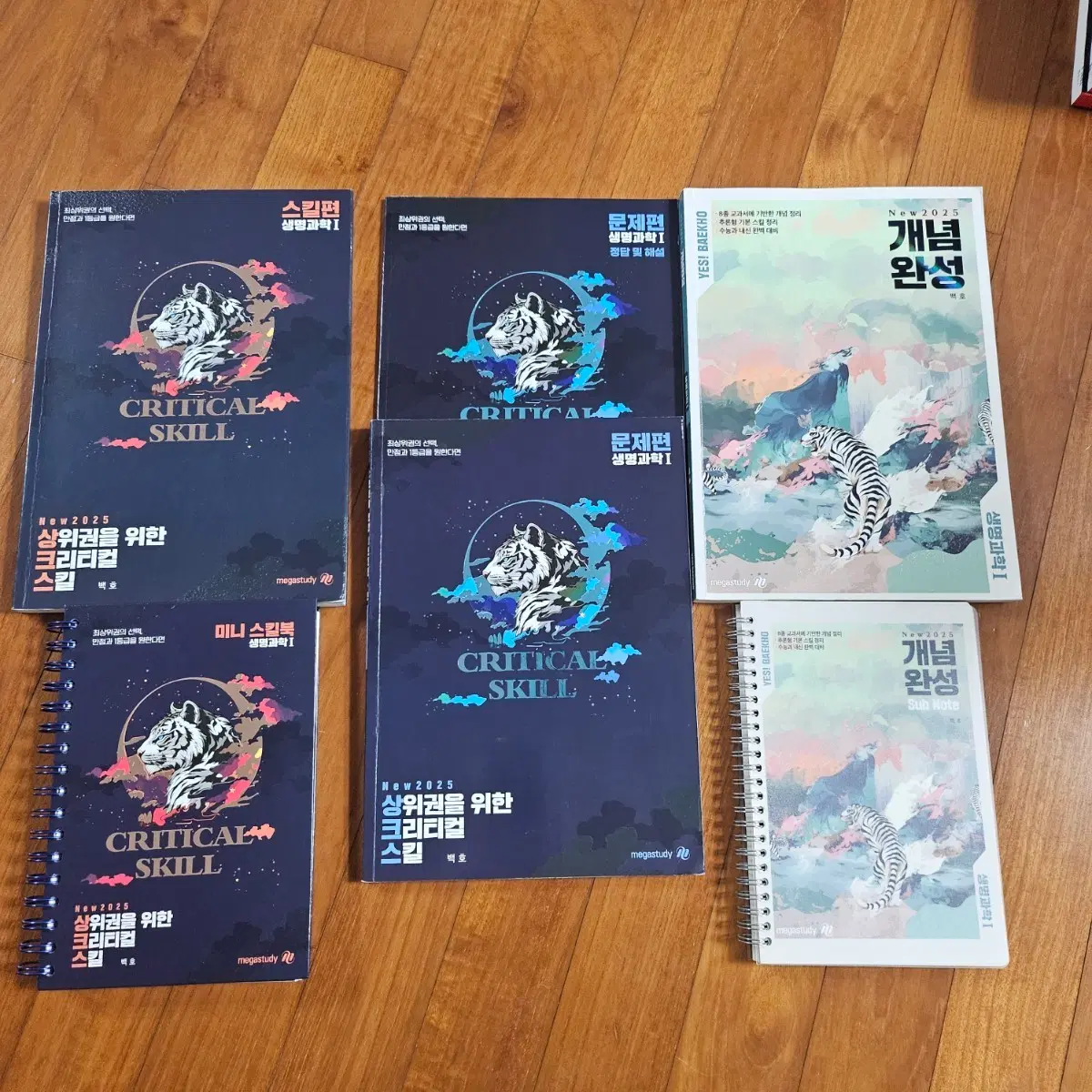 25년 상크스 생명, 25년 백호 개념완성